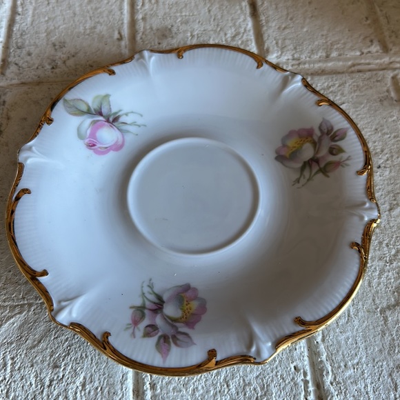 Bavaria Schumann Arzberg Wild Rose Teacup & Saucer - Picture 2 of 7